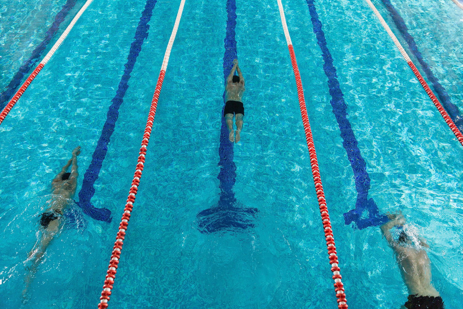 Kurzy plavání ROYAL SWIM