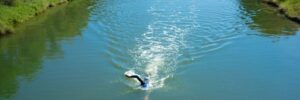 Open Water Swimming