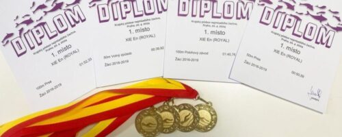 Swimming Competitions